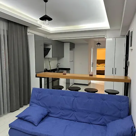 1+1 Luex Apartment *